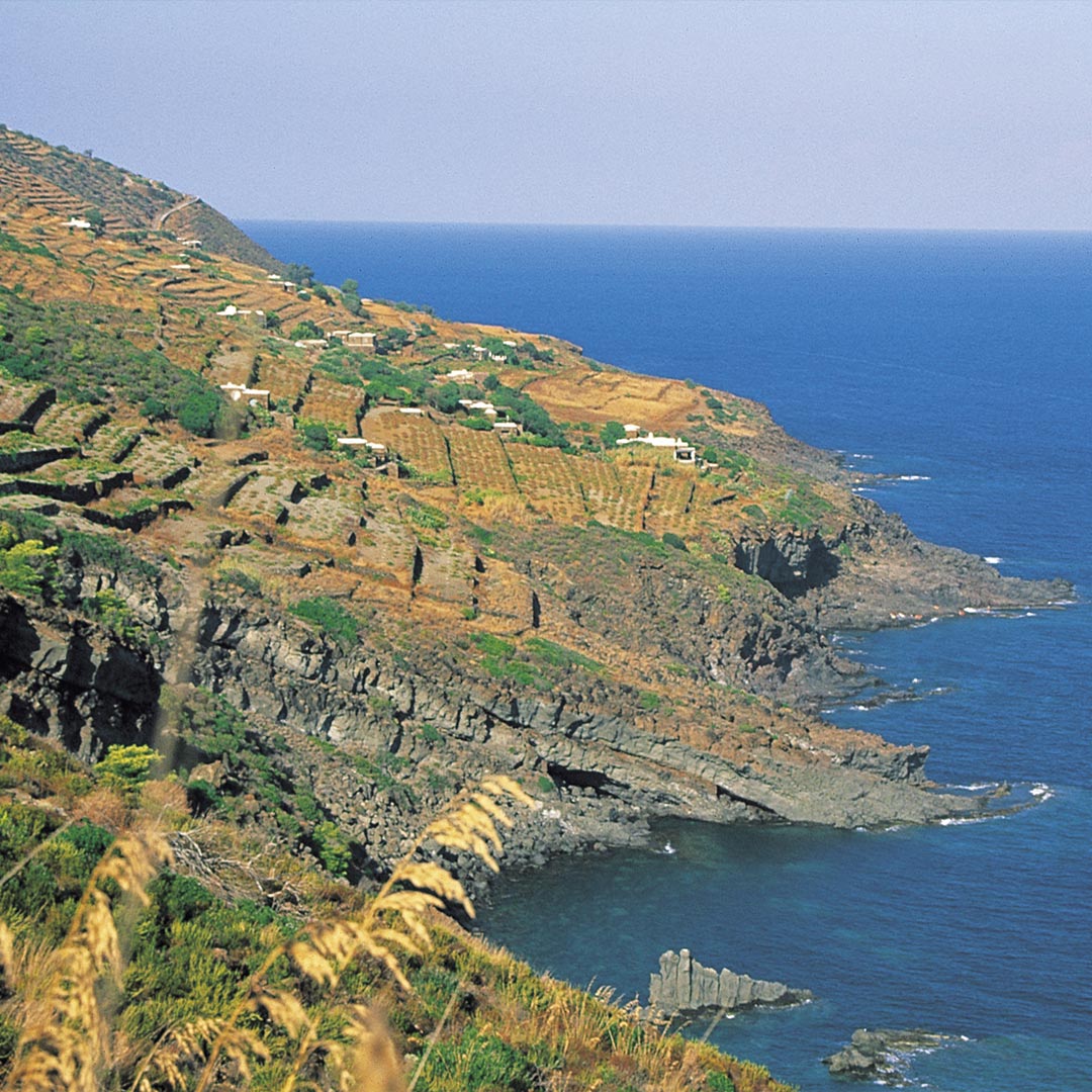 Donnafugata-Terraces-Pantelleria-03.jpg