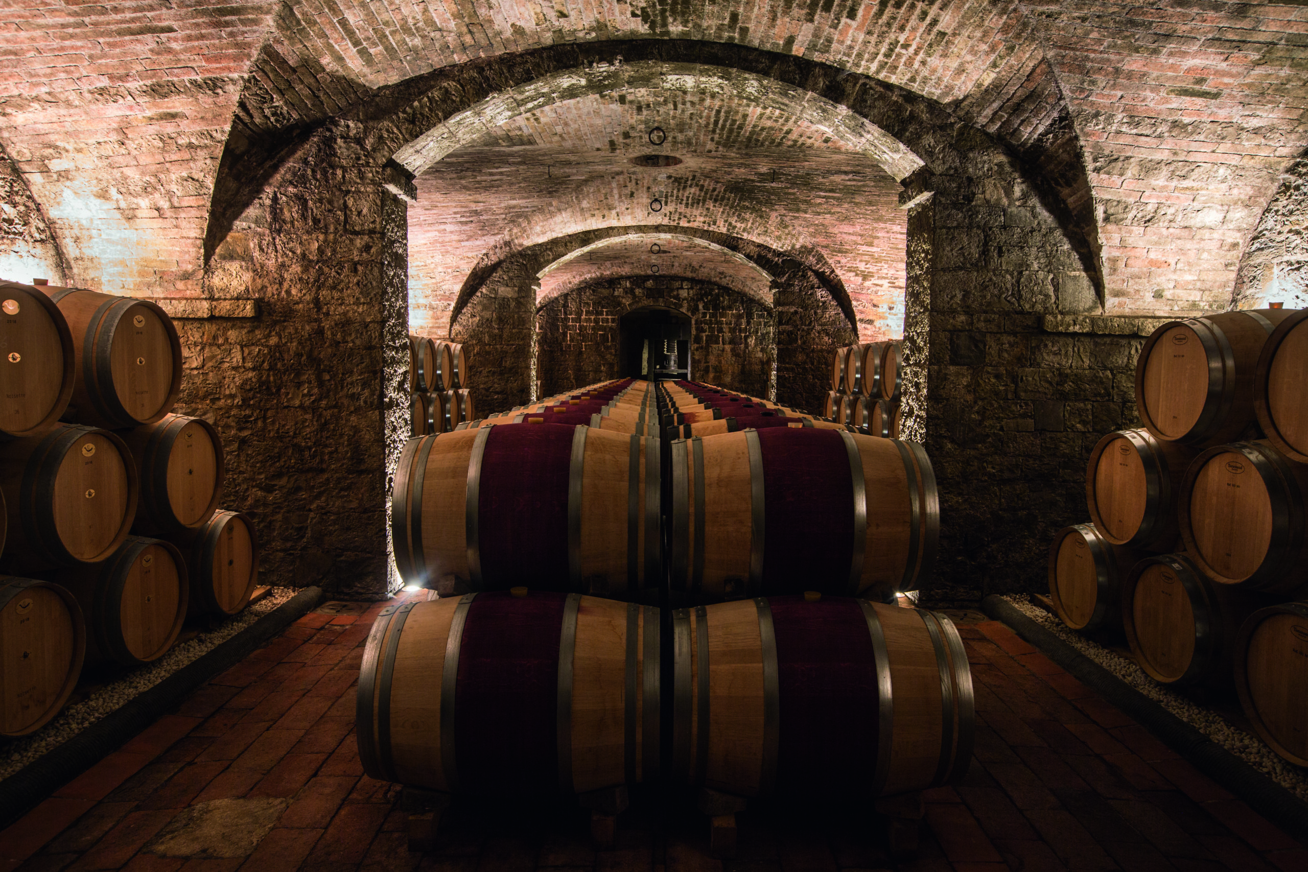 Tenuta Tignanello_Cantina (3)