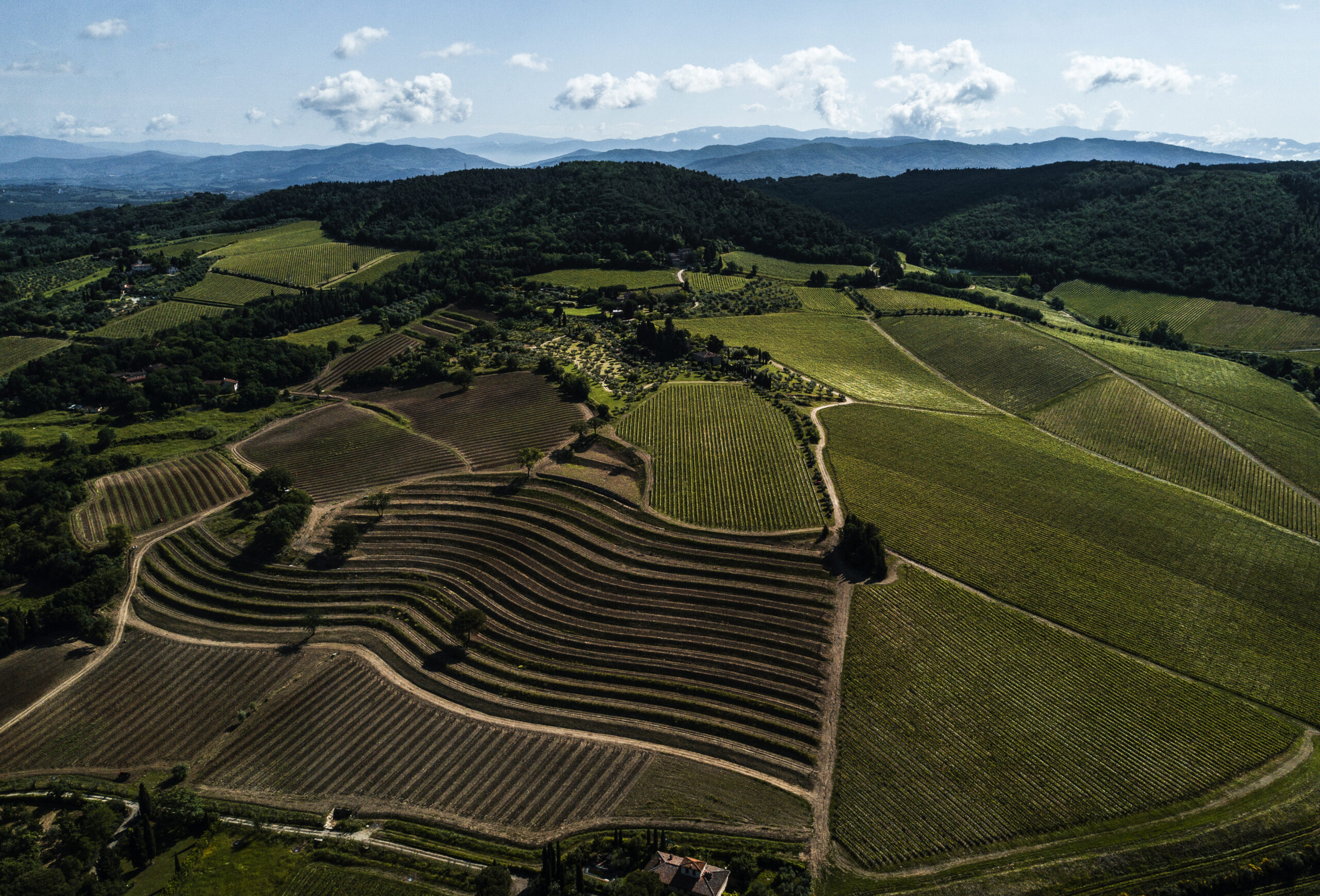 Tenuta Tignanello_Paesaggio (2)